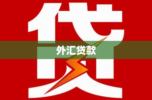 安仁外汇贷款