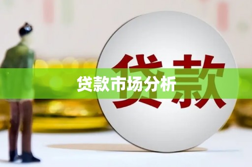 南湖贷款市场分析