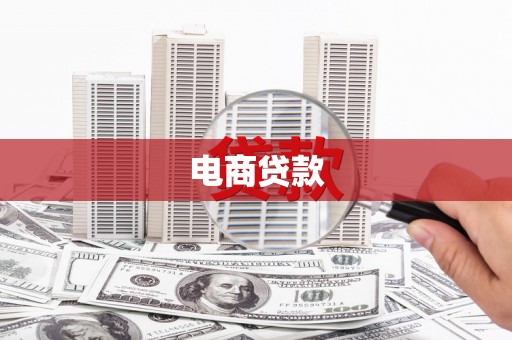 天元电商贷款