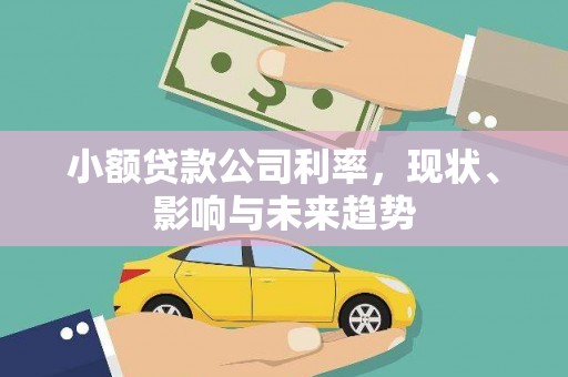 安定小额贷款公司利率，现状、影响与未来趋势