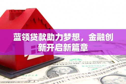 玄武蓝领贷款助力梦想，金融创新开启新篇章