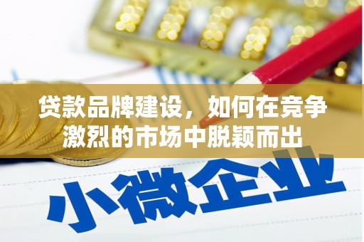 中方贷款品牌建设，如何在竞争激烈的市场中脱颖而出