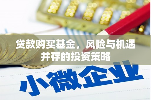 振兴贷款购买基金，风险与机遇并存的投资策略