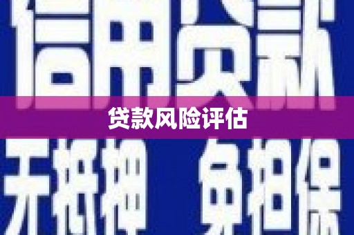 宁阳贷款风险评估