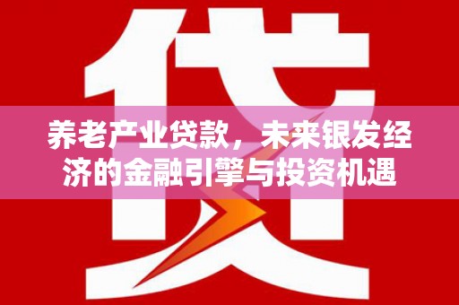 芦淞养老产业贷款，未来银发经济的金融引擎与投资机遇