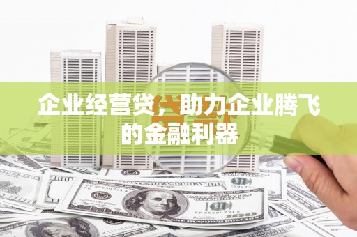 九龙城企业经营贷，助力企业腾飞的金融利器