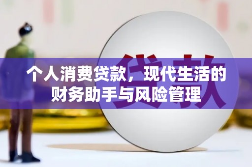 隆尧个人消费贷款，现代生活的财务助手与风险管理