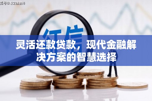 项城灵活还款贷款，现代金融解决方案的智慧选择