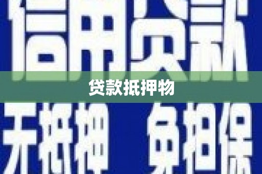 南华贷款抵押物