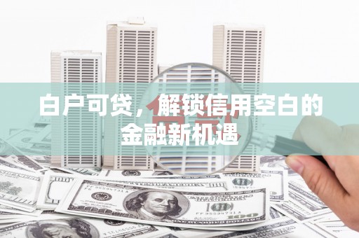 阿勒泰白户可贷，解锁信用空白的金融新机遇