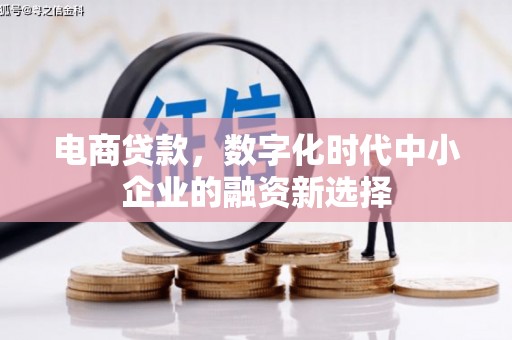 哈尔滨电商贷款，数字化时代中小企业的融资新选择