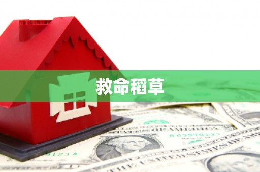 安康救命稻草