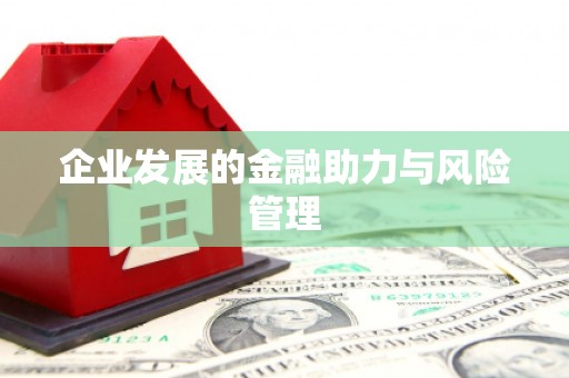 关岭企业发展的金融助力与风险管理
