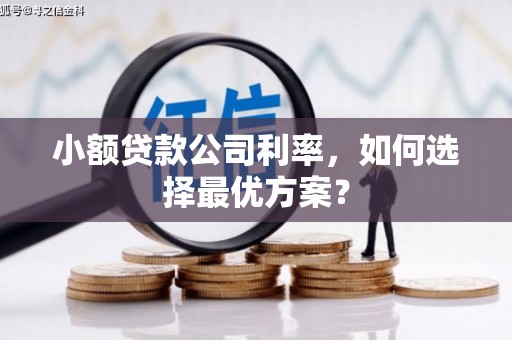 金湾小额贷款公司利率，如何选择最优方案？
