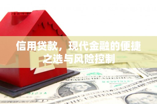 炉霍信用贷款，现代金融的便捷之选与风险控制