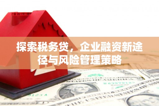 全州探索税务贷，企业融资新途径与风险管理策略