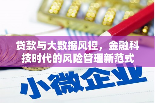 依兰贷款与大数据风控，金融科技时代的风险管理新范式
