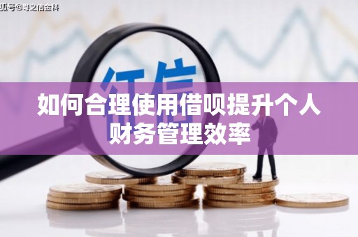 黔东南如何合理使用借呗提升个人财务管理效率