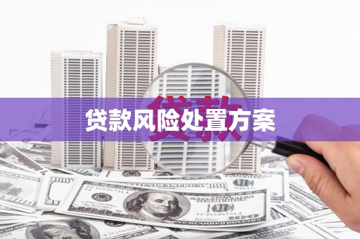 漠河贷款风险处置方案
