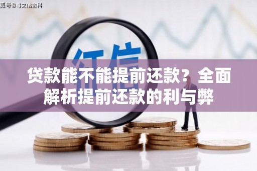 丽水贷款能不能提前还款？全面解析提前还款的利与弊