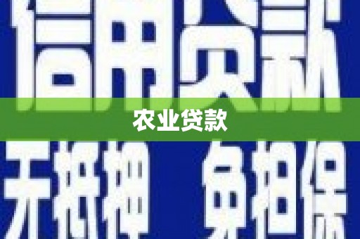正宁农业贷款