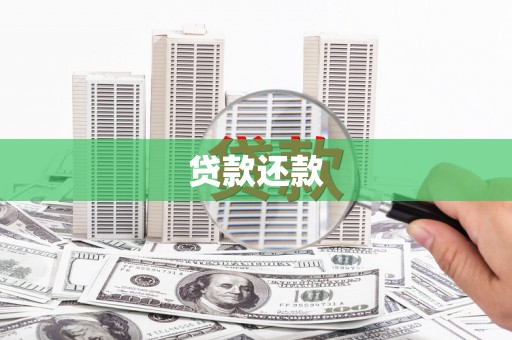 保税港区贷款还款