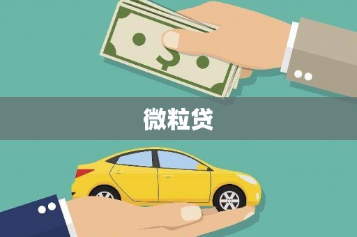 珠晖微粒贷