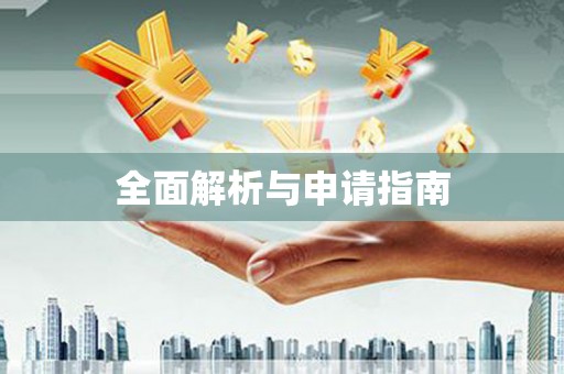 芒市全面解析与申请指南