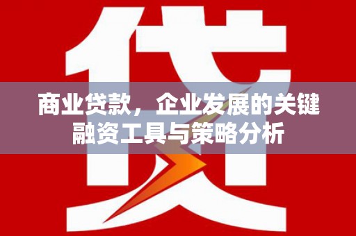 阆中商业贷款，企业发展的关键融资工具与策略分析