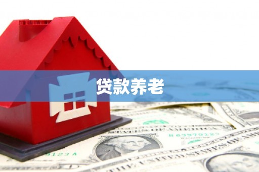 桓台贷款养老