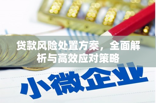鼎湖贷款风险处置方案，全面解析与高效应对策略