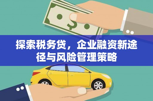 馆陶探索税务贷，企业融资新途径与风险管理策略