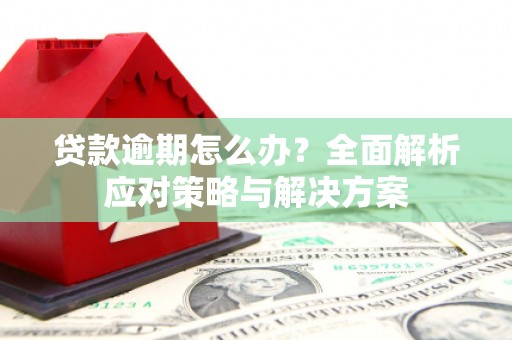 杂多贷款逾期怎么办？全面解析应对策略与解决方案