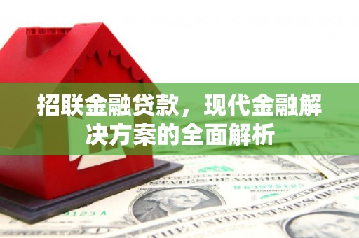枋山招联金融贷款，现代金融解决方案的全面解析