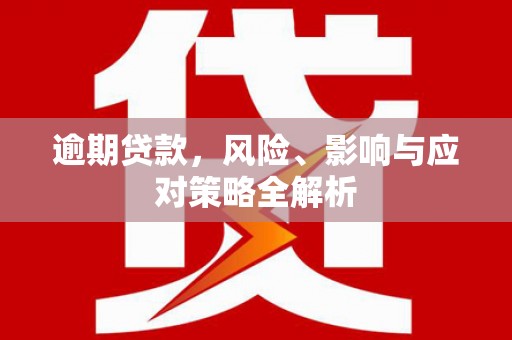 临邑逾期贷款，风险、影响与应对策略全解析