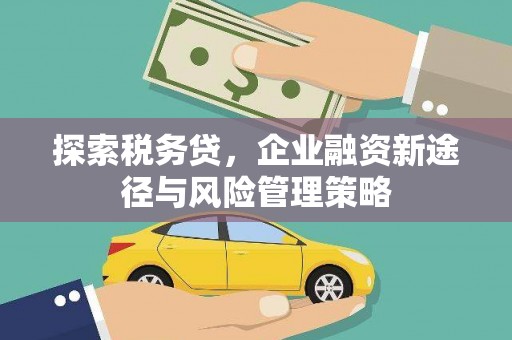 蔡甸探索税务贷，企业融资新途径与风险管理策略