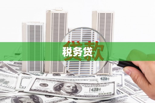 伊犁哈萨克税务贷