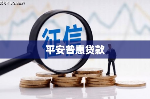 岷县平安普惠贷款