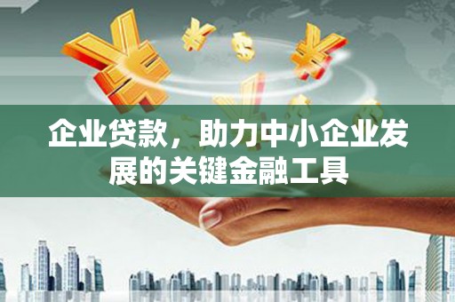 开阳企业贷款，助力中小企业发展的关键金融工具