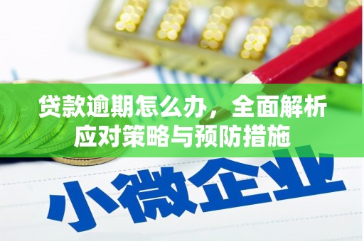 新田贷款逾期怎么办，全面解析应对策略与预防措施