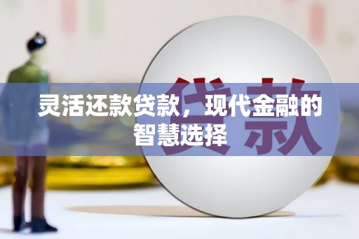 兴庆灵活还款贷款，现代金融的智慧选择