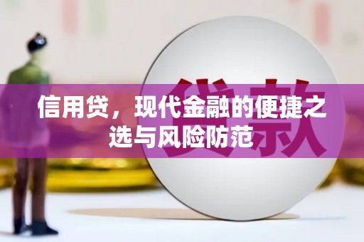 河源信用贷，现代金融的便捷之选与风险防范