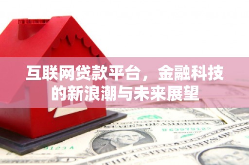 九龙城互联网贷款平台，金融科技的新浪潮与未来展望