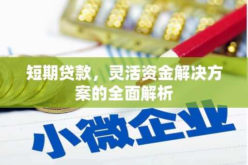 昂仁短期贷款，灵活资金解决方案的全面解析