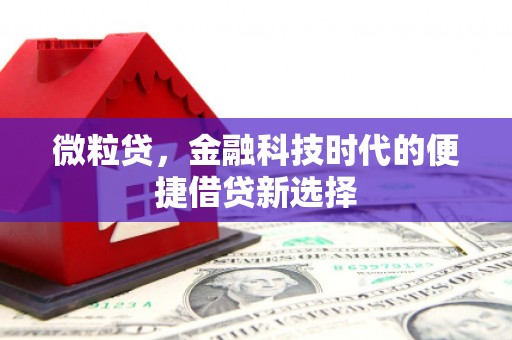 玉里微粒贷，金融科技时代的便捷借贷新选择