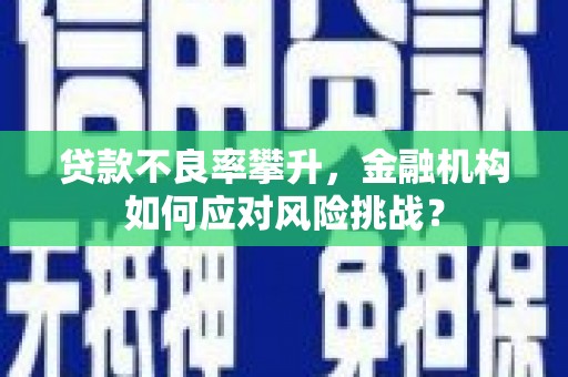 乐陵贷款不良率攀升，金融机构如何应对风险挑战？