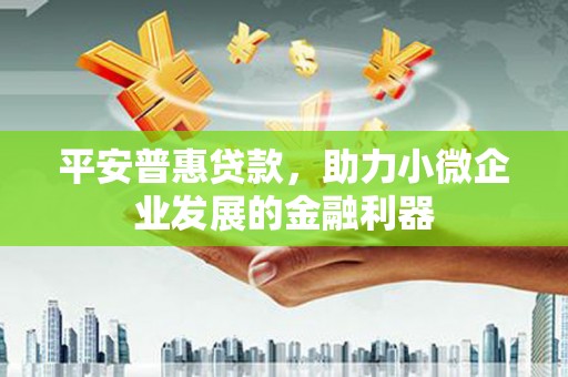 夏河平安普惠贷款，助力小微企业发展的金融利器