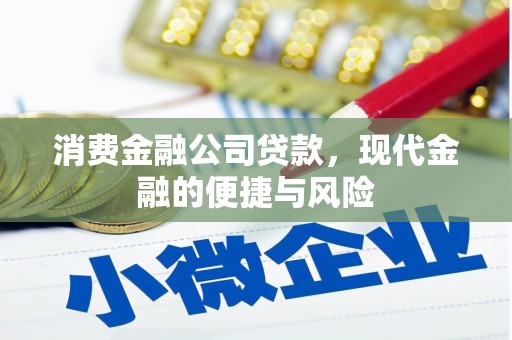 水林消费金融公司贷款，现代金融的便捷与风险