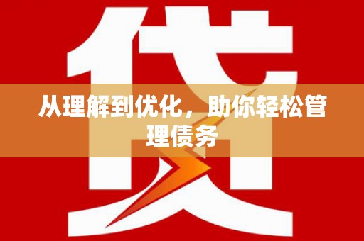 大林从理解到优化，助你轻松管理债务