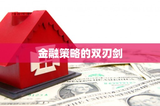 萝北金融策略的双刃剑